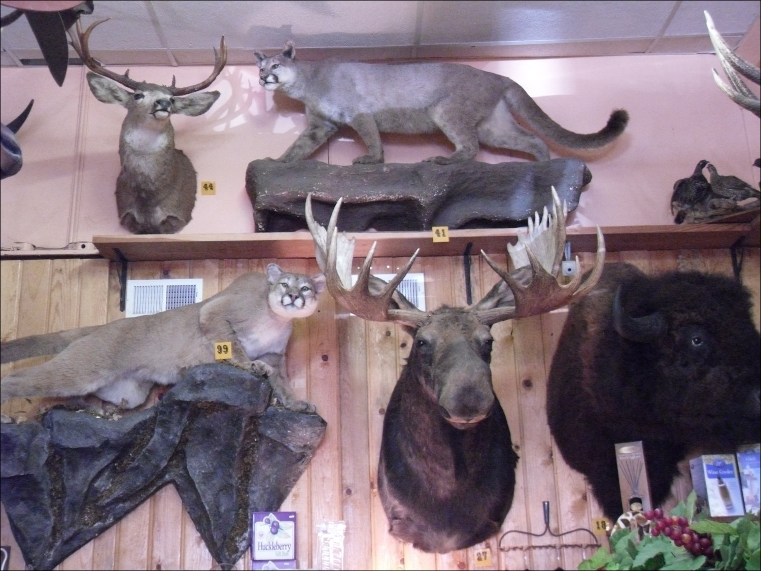 Wallace, ID-an "antique" shop Idaho-style